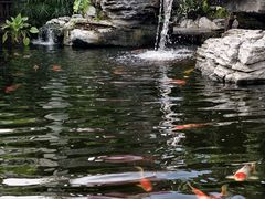 -顺德渔村·岭南一号
