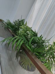 -悟空祛痘·诺奖技术专业店