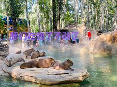 -北京野生动物园