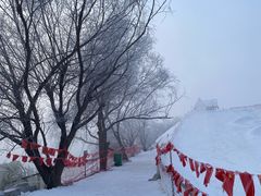 -雾凇岛