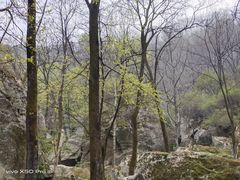 -秦岭终南山世界地质公园翠华山景区
