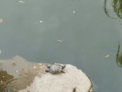 -南普公园