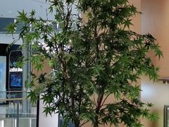 -老碗会(汕头万象城店)