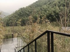 -宁海安岚·南溪阁全日餐厅