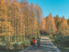 -山王坪喀斯特国家生态公园