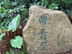 -青青世界