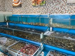 水产区-港畔赶海蒸汽海鲜烧烤自助(仙螺岛店)