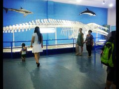 科普区-福州罗源湾海洋世界旅游区