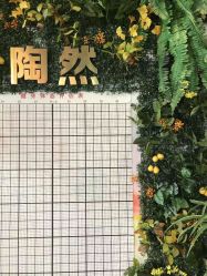 -陶然瑜伽馆