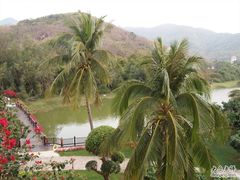 房间阳台外的风景-三亚亚龙湾金棕榈度假酒店