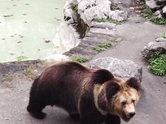 -成都动物园