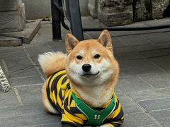 -后海16号·北京私房菜