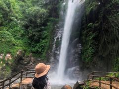 -莫里热带雨林景区
