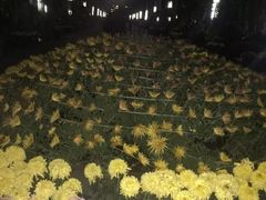 -五通灯塔公园