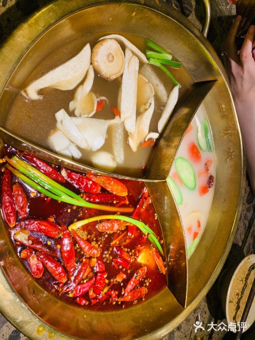 Xiao Long Kan Hotpot Sydney 小龙坎老火锅图片