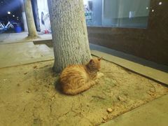 -南京理工大学紫金学院