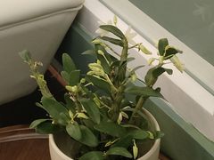 -南堂馆·新川菜(春熙路店)