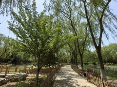 -东升八家郊野公园