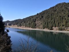 -武陵山森林公园