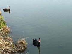 -上海辰山植物园