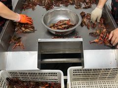 -海岛八号龙虾烧烤田鸡(蓝天路总店)