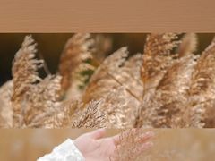 -野鸭湖国家湿地公园