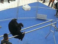 -梁师傅烘焙Mr.Liang(万达店)