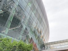 -合肥新桥国际机场-航站楼