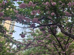 -西北湖绿化广场