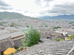 -小大董·烤鸭(凤凰汇店)