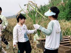 -艺年级儿童语言艺术中心(冉家坝爱融荟城店)