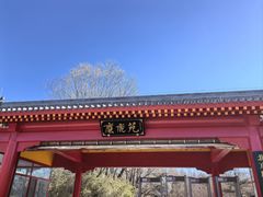 -北京麋鹿生态实验中心