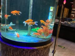 -08涮肉坊(广顺南大街店)