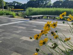 -蠡湖大桥公园