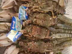 -白仁仔· 活烤海鲜 宵夜(豫园店)