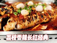 -鱼酷活鱼烤鱼(昆明路店)