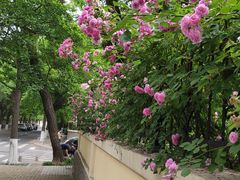 -青岛第三海水浴场