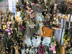 -植物学家的女儿(北马道巷店)