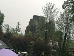 -秀丽东方