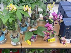 -大润发(芜湖店)