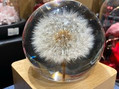 -G·SPACE(金鹰世界店)