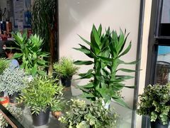 -813芭依珊 BAESAn(皇冠十畝地店)