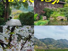 -中国茶叶博物馆(双峰馆区)