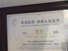 -纳吉亚猫专科动物医院·北北分院