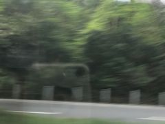 -宋宴(虎跑店)