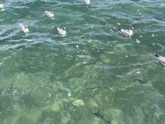 -班公湖