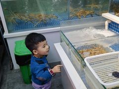 -日进一片海.生腌海鲜火锅.宵夜烧烤(三里屯总店)
