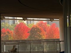 -苏州大学（独墅湖校区）-炳麟图书馆