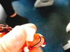 -东海珊瑚博物馆