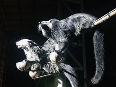 -清迈夜间动物园